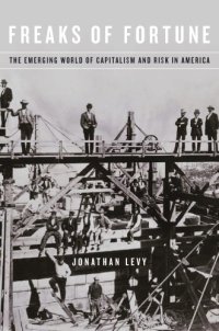 cover of the book Freaks of fortune: the emerging world of capitalism and risk in America