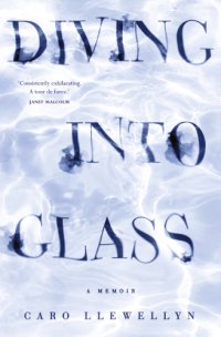 cover of the book Diving into Glass