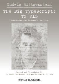 cover of the book Big typescript: ts 213