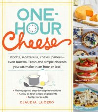 cover of the book One-hour dairy-free cheese: make mozzarella, cheddar, feta, and brie-style cheeses--using nuts, seeds, and vegetables