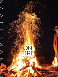 cover of the book Mallmann on Fire