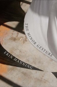 cover of the book The minor gesture