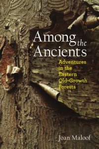 cover of the book Among the ancients: adventures in the eastern old-growth forests