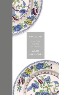 cover of the book Kid Gloves