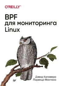 cover of the book BPF для мониторинга Linux