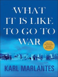 cover of the book What It Is Like to Go to War