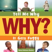 cover of the book It gets foggy