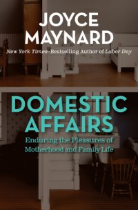 cover of the book Domestic affairs: enduring the pleasures of motherhood and family life