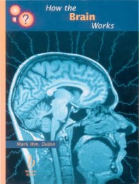 cover of the book How the brain works