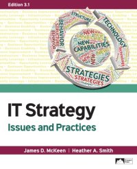 cover of the book IT strategy: issues and practices