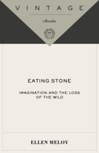 cover of the book Eating stone: imagination and the loss of the wild