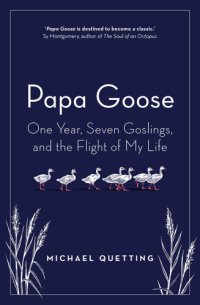 cover of the book Papa Goose