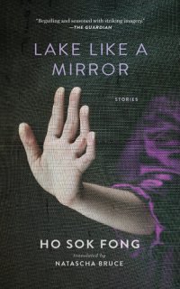 cover of the book Lake Like a Mirror