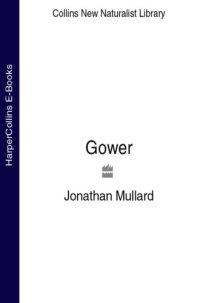 cover of the book Gower