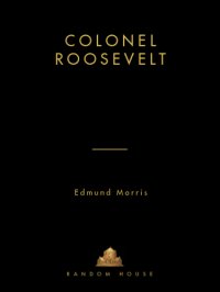 cover of the book Colonel Roosevelt