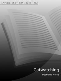 cover of the book Catwatching