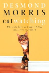 cover of the book Cat watching