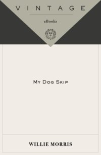 cover of the book My Dog Skip