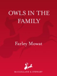 cover of the book Owls in the Family