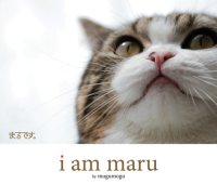 cover of the book I Am Maru