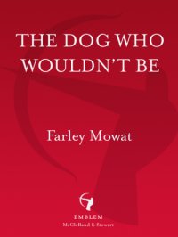 cover of the book The Dog Who Wouldn't Be