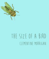 cover of the book The Size of a Bird