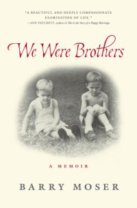 cover of the book We were brothers: a memoir