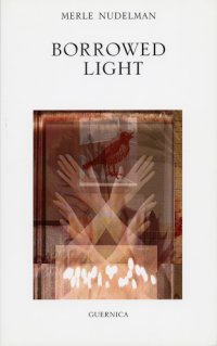 cover of the book Borrowed Light