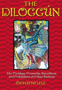 cover of the book The diloggún: the orishas, proverbs, sacrifices, and prohibitions of cuban santería