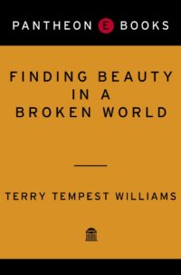 cover of the book Finding beauty in a broken world