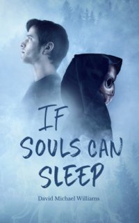 cover of the book If Souls Can Sleep