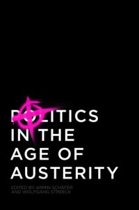 cover of the book Politics in the Age of Austerity