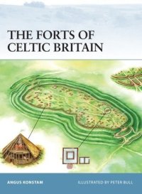 cover of the book The Forts of Celtic Britain