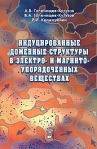 cover of the book Индуцированные доменные структуры в электро- и магнитоупорядоченных веществах