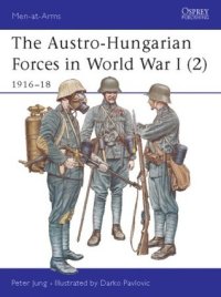 cover of the book The Austro-Hungarian Forces in World War I (2): 1916–18