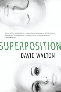 cover of the book Superposition