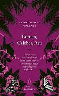 cover of the book Borneo, Celebes, Aru