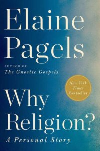 cover of the book Why Religion?