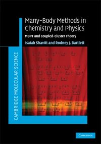 cover of the book Many-Body Methods in Chemistry and Physics: MBPT and Coupled-Cluster Theory