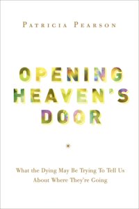 cover of the book Opening heaven's door: investigating stories of life, death, and what comes after