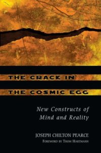 cover of the book The crack in the cosmic egg: challenging constructs of mind & reality