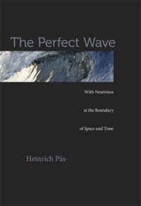 cover of the book The perfect wave: with neutrinos at the boundary of space and time