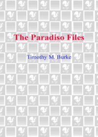 cover of the book The Paradiso files: Boston's unknown serial killer