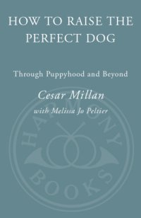 cover of the book Puppyhood: How to Raise the Perfect Dog