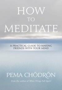 cover of the book How to Meditate