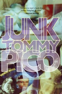 cover of the book Junk