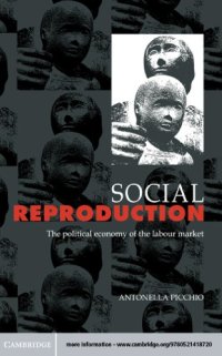 cover of the book Social reproduction: the political economy of labour market