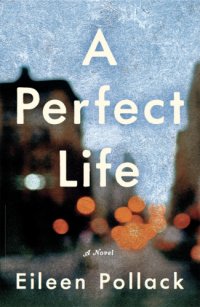 cover of the book A Perfect Life