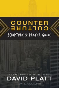 cover of the book Counter culture travel guide: a 30-day tour of christs response to todays culture