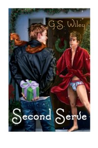 cover of the book Second Serve